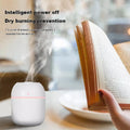 Humidificateur d'Arômes Portable