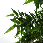 Leaf Design 120cm Artificial Oriental Bamboo Plant-2